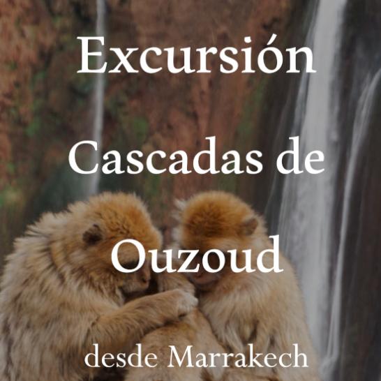 Excursión Cascadas de Ouzoud desde Marrak