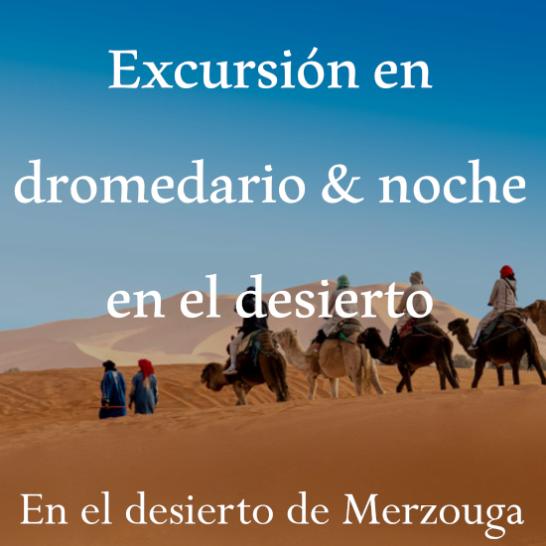 Excursión en dromedario y noche en el desierto